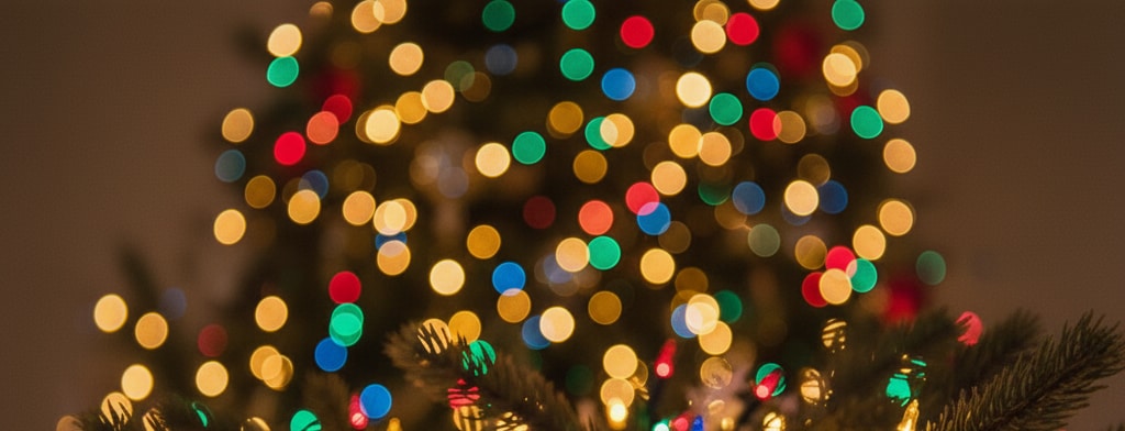 bokeh christmas lights Virginia Beach